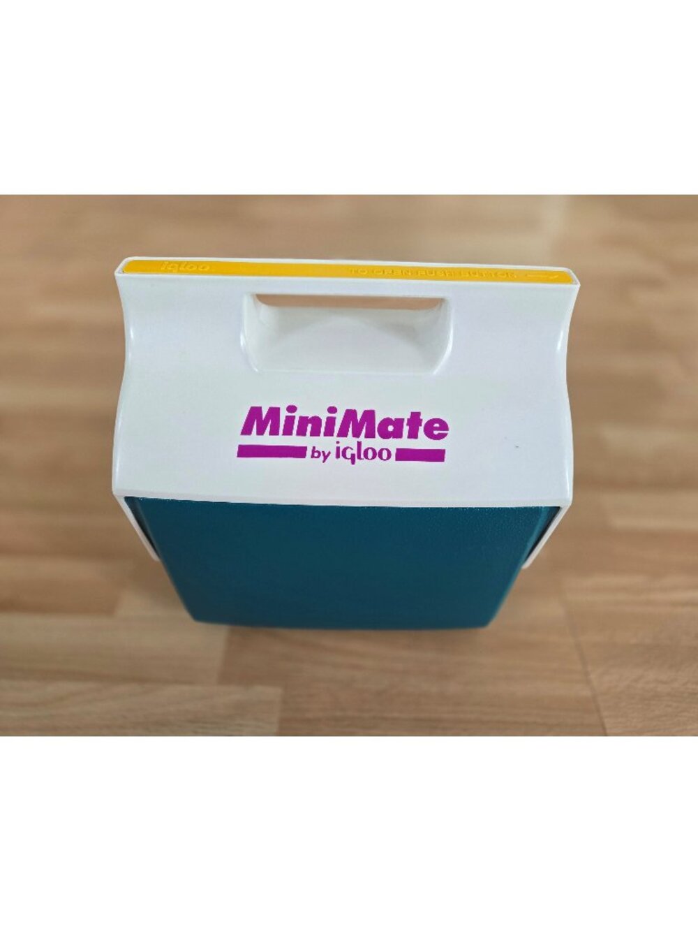 Vintage 1990's Igloo Mini Mate Cooler Teal/Purple/Yellow